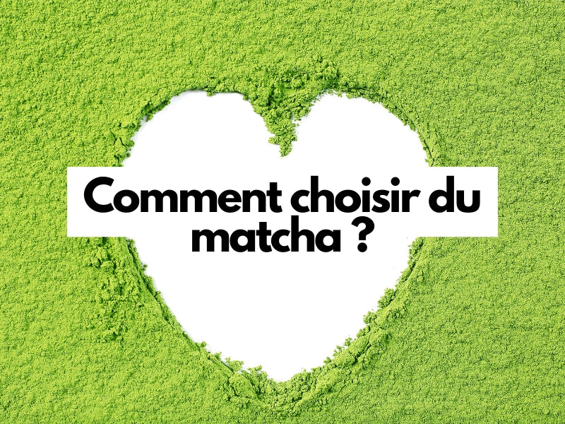 COMMENT CHOISIR DU MATCHA ?