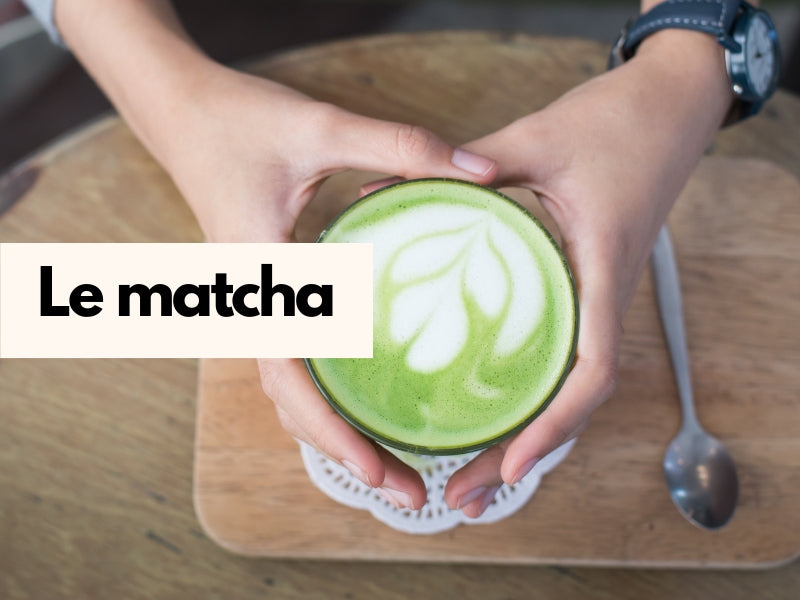 QU'EST-CE QUE LE MATCHA ?