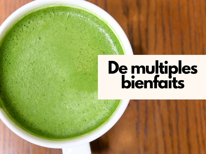 LES BIENFAITS DU THÉ MATCHA : Cœur, Peau, Poids