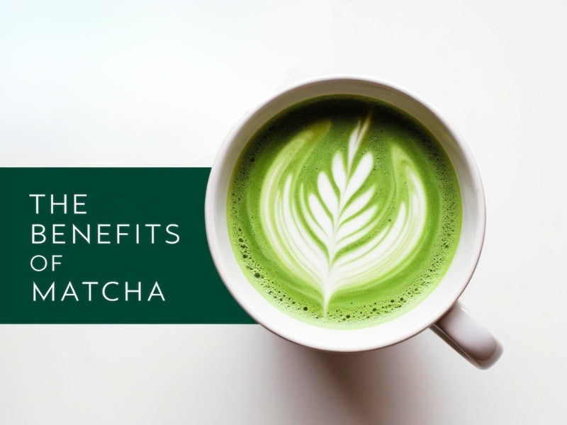THÉ MATCHA : SES PROPRIÉTÉS ET SES BIENFAITS