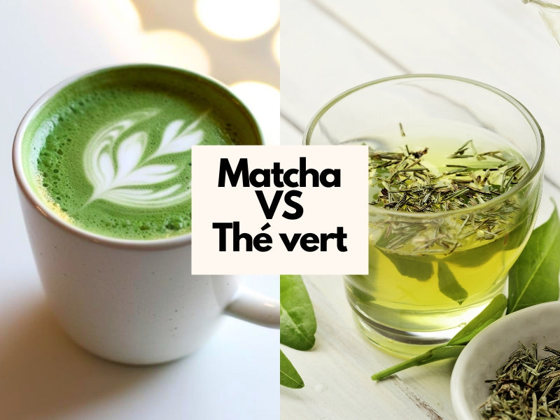 MATCHA VS THÉ VERT : Quel est le Meilleur Choix ?